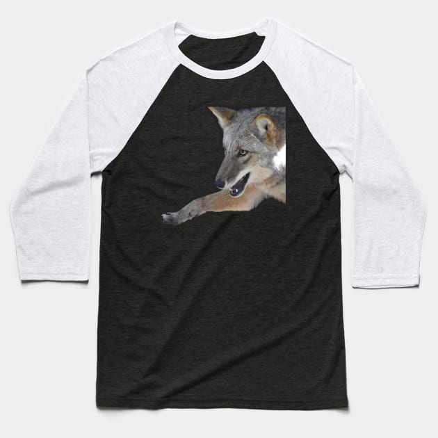 Coyote Baseball T-Shirt by Sharonzoolady